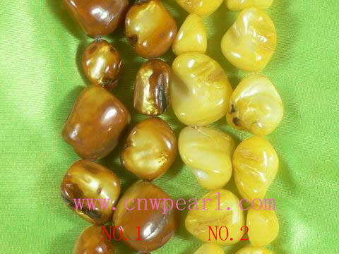 elegant teeth shaped shell strand with two colors